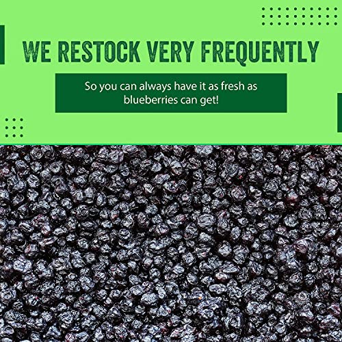 Blueberries - Dried - imanut