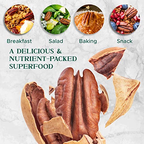 Pecans - Raw Halves - imanut