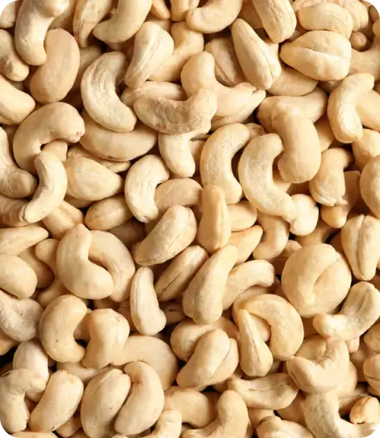 cashew nuts - imanut
